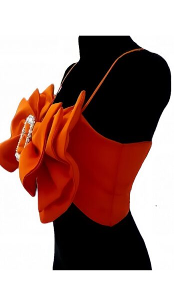 Queen Top <h4 id='idTitleSubProduct'>Blush Orange bow-diamond straps-satin top</h4>